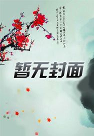 超人在海贼王的小说