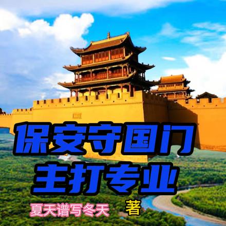 国保安防是做什么的